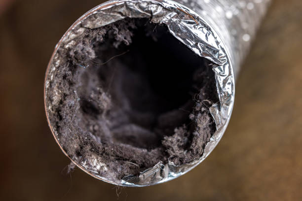 Best Ventilation Cleaning Services  in Agua Fria, NM